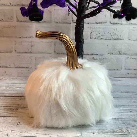 White Furry Pumpkin - Picture 4 of 6